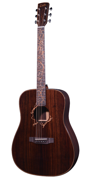 LX D-Rosewood Custom