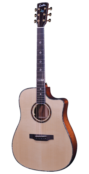 LX D-9000ce ES Custom